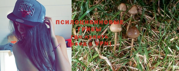 молекула духа Болотное