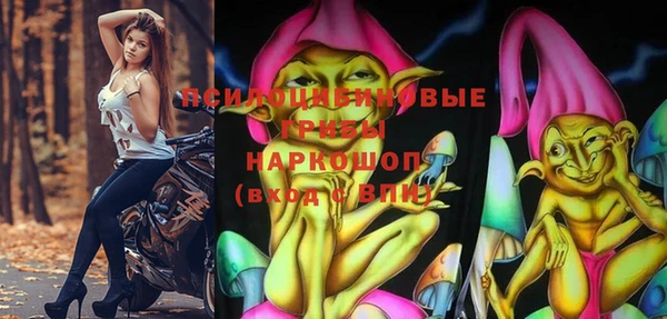 спиды Болхов