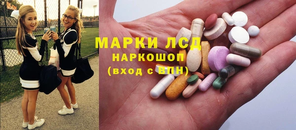 молекула духа Болотное