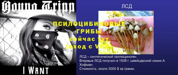 дмт Нефтегорск