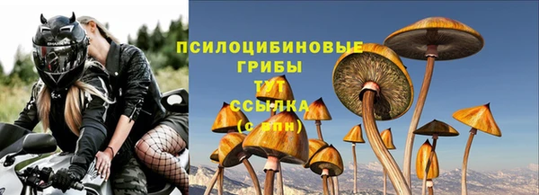дмт Нефтегорск