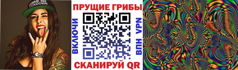 Псилоцибиновые грибы GOLDEN TEACHER  Лермонтов 