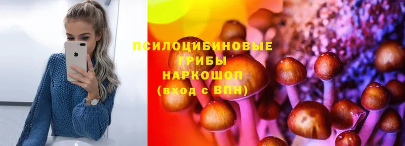 наркотики  МЕГА маркетплейс  Галлюциногенные грибы MAGIC MUSHROOMS  Лермонтов 